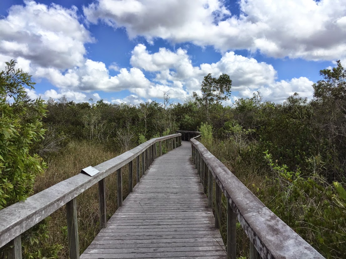 一起旅行 之 Everglades 大沼泽国家公园 - abcxyz123.com